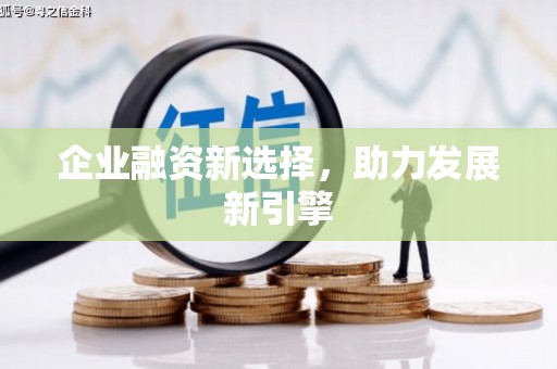 武穴企业融资新选择，助力发展新引擎