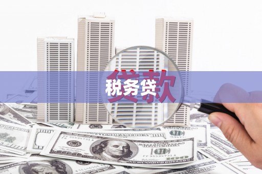 武穴税务贷