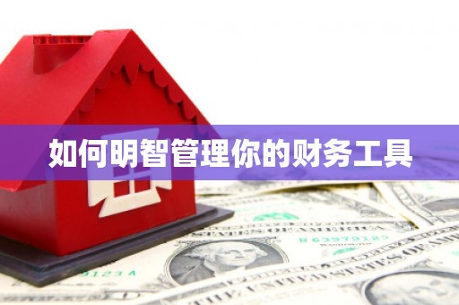 武穴如何明智管理你的财务工具