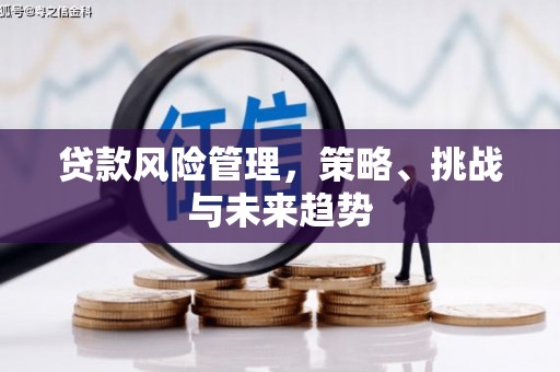 武穴贷款风险管理，策略、挑战与未来趋势