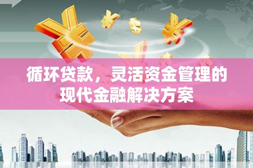 武穴循环贷款，灵活资金管理的现代金融解决方案