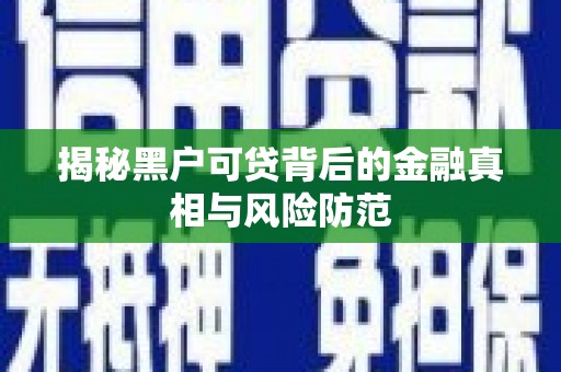 武穴揭秘黑户可贷背后的金融真相与风险防范