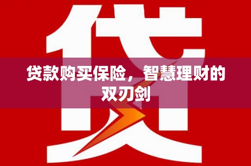 武穴贷款购买保险，智慧理财的双刃剑