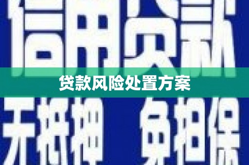 武穴贷款风险处置方案