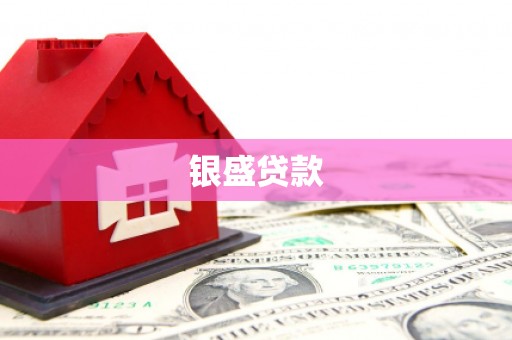 武穴银盛贷款