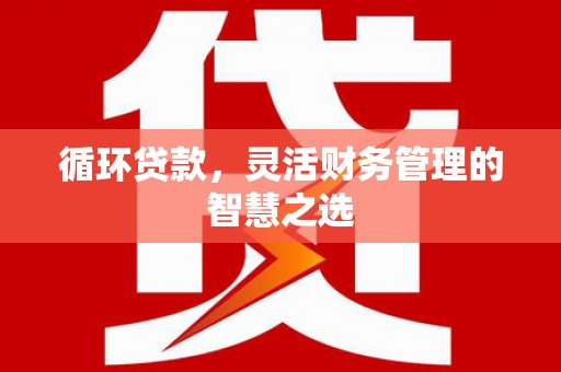 武穴循环贷款，灵活财务管理的智慧之选