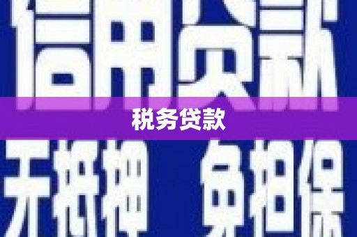 武穴税务贷款