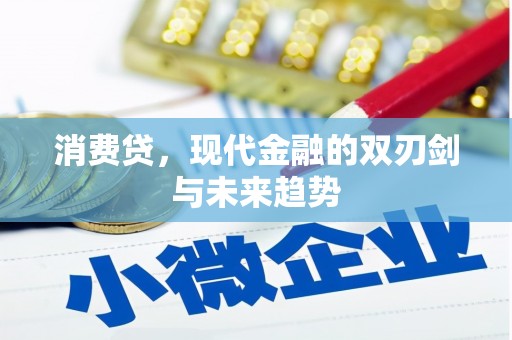 武穴消费贷，现代金融的双刃剑与未来趋势