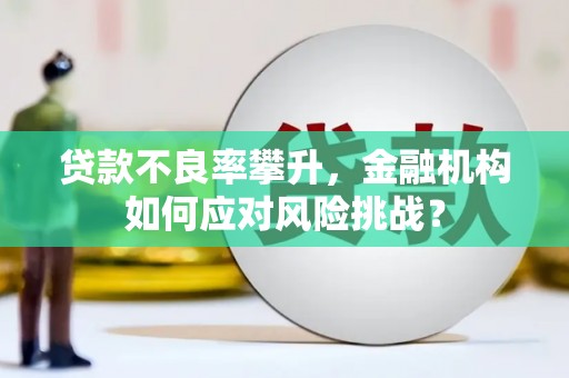 武穴贷款不良率攀升，金融机构如何应对风险挑战？