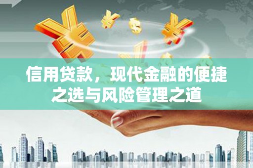 武穴信用贷款，现代金融的便捷之选与风险管理之道