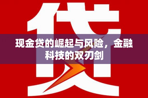 武穴现金贷的崛起与风险，金融科技的双刃剑