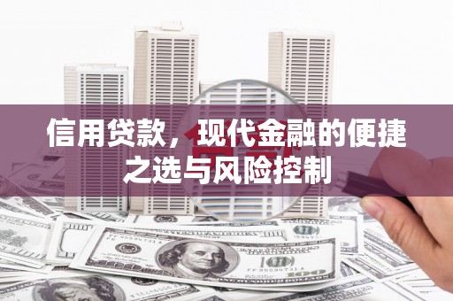 武穴信用贷款，现代金融的便捷之选与风险控制