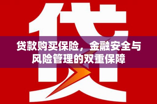 武穴贷款购买保险，金融安全与风险管理的双重保障