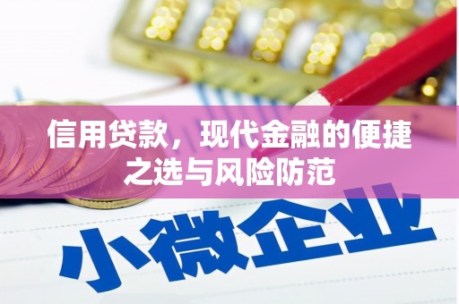 武穴信用贷款，现代金融的便捷之选与风险防范