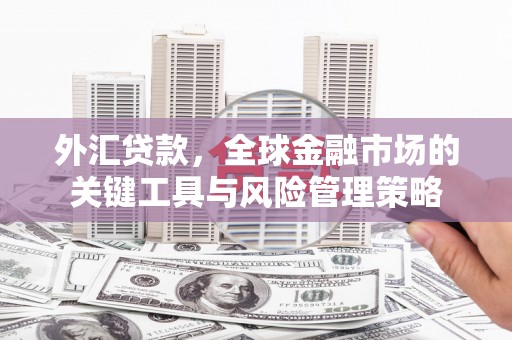 武穴外汇贷款，全球金融市场的关键工具与风险管理策略