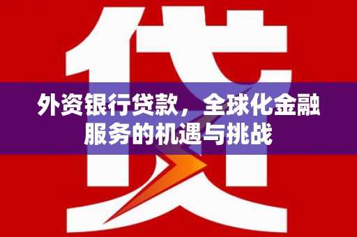 武穴外资银行贷款，全球化金融服务的机遇与挑战