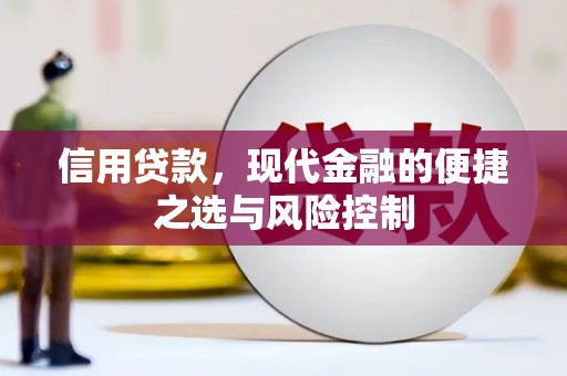 武穴信用贷款，现代金融的便捷之选与风险控制