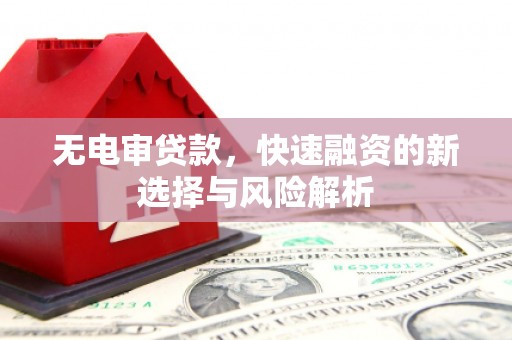 武穴无电审贷款，快速融资的新选择与风险解析