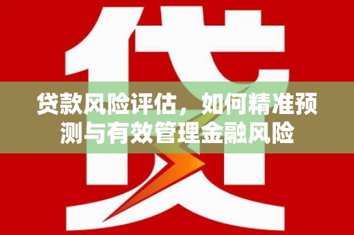 武穴贷款风险评估，如何精准预测与有效管理金融风险