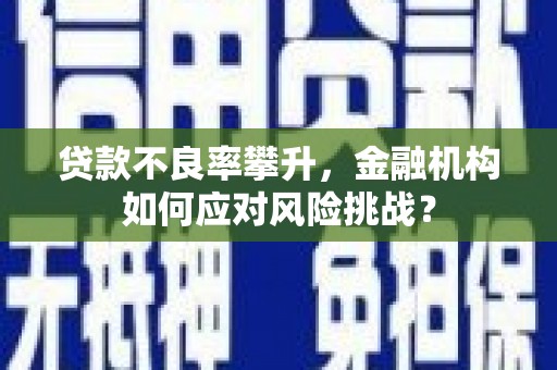 武穴贷款不良率攀升，金融机构如何应对风险挑战？