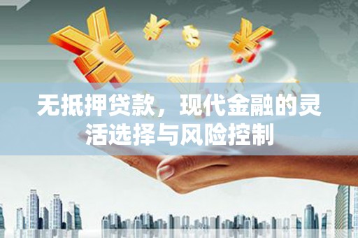 武穴无抵押贷款，现代金融的灵活选择与风险控制