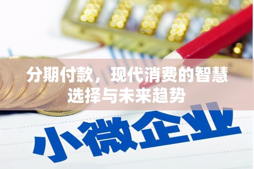 武穴分期付款，现代消费的智慧选择与未来趋势