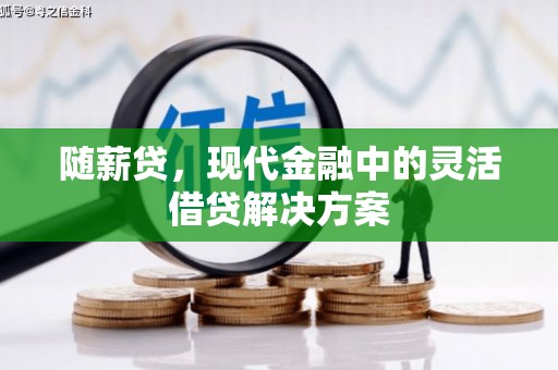 武穴随薪贷，现代金融中的灵活借贷解决方案
