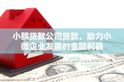 武穴小额贷款公司贷款，助力小微企业发展的金融利器