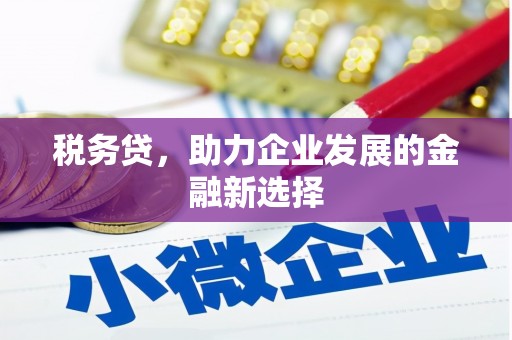 武穴税务贷，助力企业发展的金融新选择