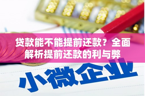 武穴贷款能不能提前还款？全面解析提前还款的利与弊