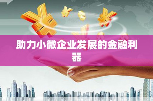 武穴助力小微企业发展的金融利器