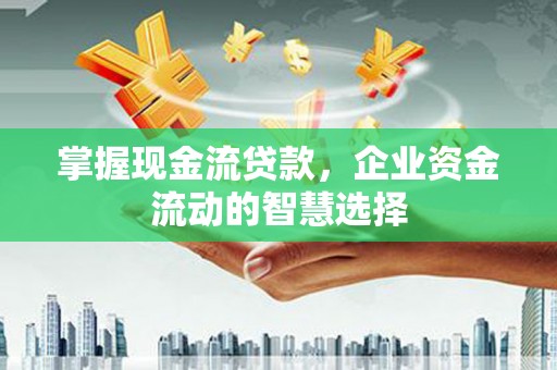 武穴掌握现金流贷款，企业资金流动的智慧选择