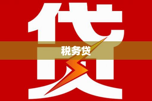 武穴税务贷