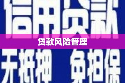武穴贷款风险管理