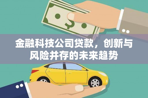 武穴金融科技公司贷款，创新与风险并存的未来趋势