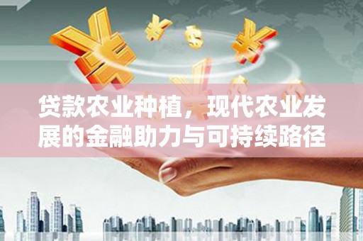 武穴贷款农业种植，现代农业发展的金融助力与可持续路径