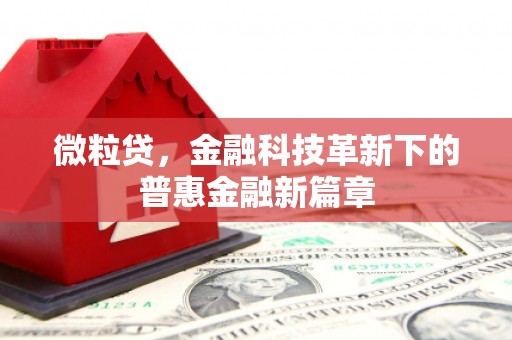 武穴微粒贷，金融科技革新下的普惠金融新篇章
