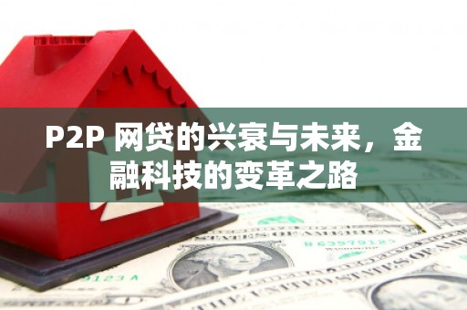 武穴P2P 网贷的兴衰与未来，金融科技的变革之路