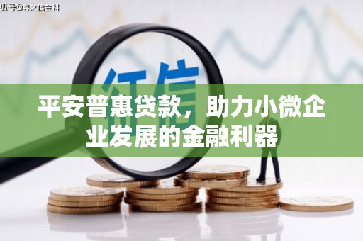 武穴平安普惠贷款，助力小微企业发展的金融利器