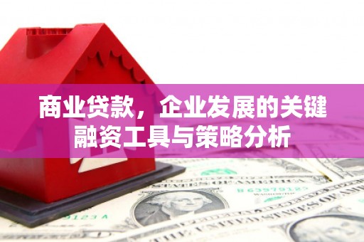 武穴商业贷款，企业发展的关键融资工具与策略分析