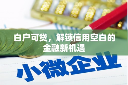 武穴白户可贷，解锁信用空白的金融新机遇
