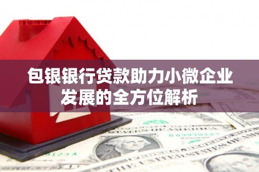 武穴包银银行贷款助力小微企业发展的全方位解析