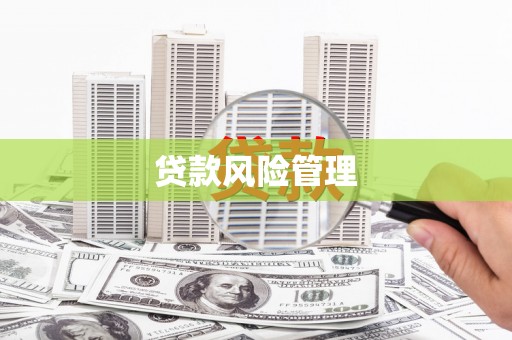 武穴贷款风险管理