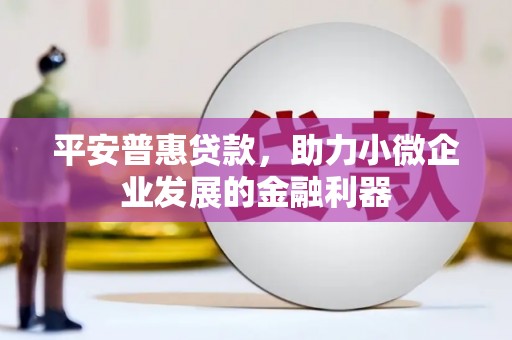 武穴平安普惠贷款，助力小微企业发展的金融利器