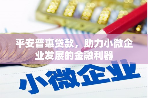 武穴平安普惠贷款，助力小微企业发展的金融利器