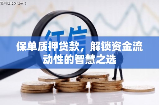 武穴保单质押贷款，解锁资金流动性的智慧之选