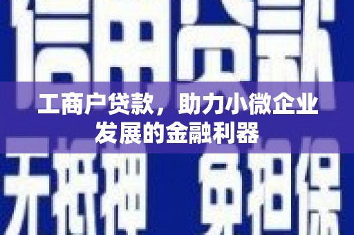 武穴工商户贷款，助力小微企业发展的金融利器