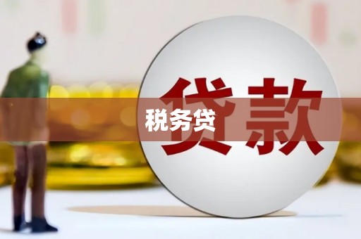 武穴税务贷