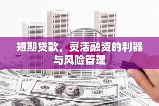武穴短期贷款，灵活融资的利器与风险管理