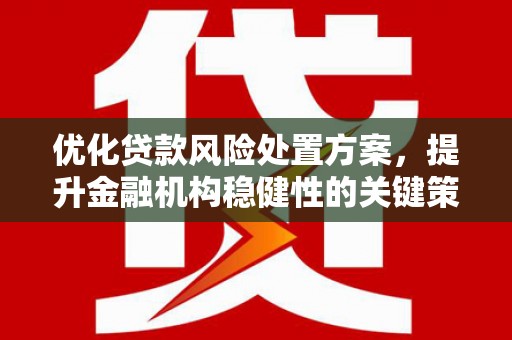 武穴优化贷款风险处置方案，提升金融机构稳健性的关键策略